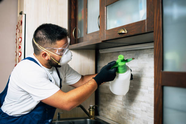 Best Emergency Pest Control  in Marietta, PA